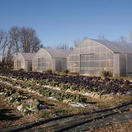 Casa Di Anna - Fattoria Sociale *